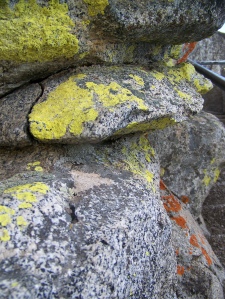Lichens on the Moro Rock