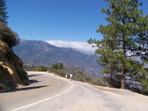 The road into Kings Canyon